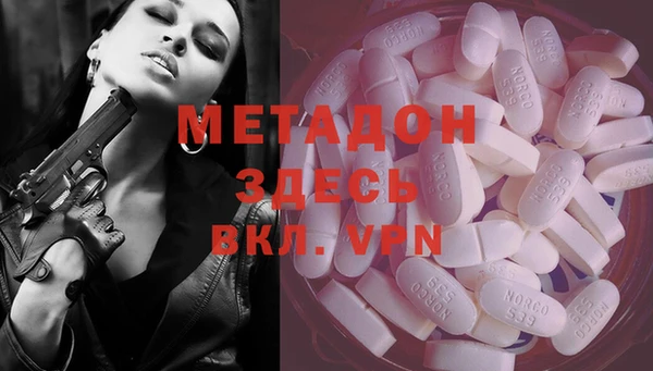 прущие грибы Алексин