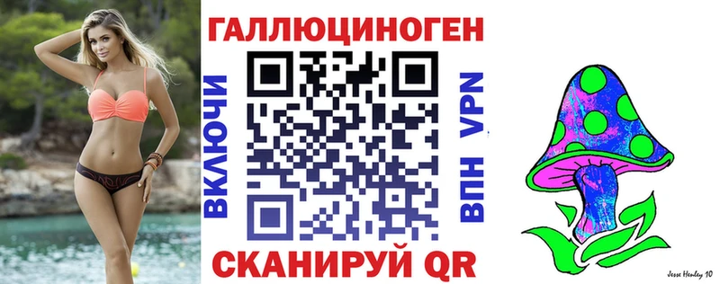 магазин  наркотиков  Астрахань  Галлюциногенные грибы Psilocybe 