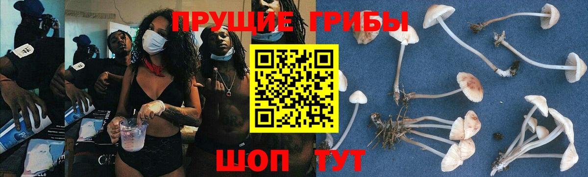 ЭКСТАЗИ  Астрахань  Cocaine  НБОМе  Вход с VPN  LSD-25  Мефедрон кристаллы  ГАШ  Кетамин  МАРИХУАНА 