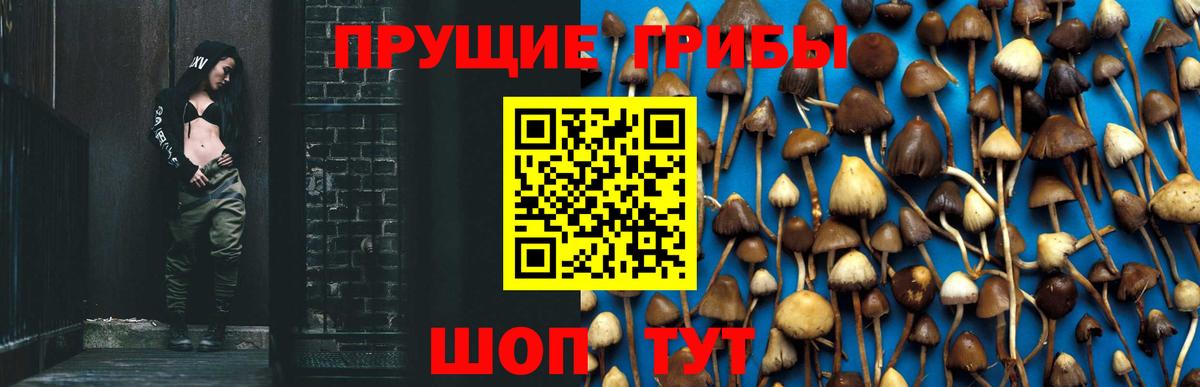 Псилоцибиновые грибы мухоморы  Вход с VPN  Астрахань 